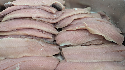 PXL 20250616 172353770